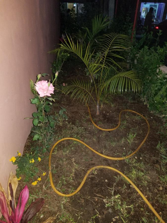 Appartement Confort Fann Hock Dakar Bagian luar foto